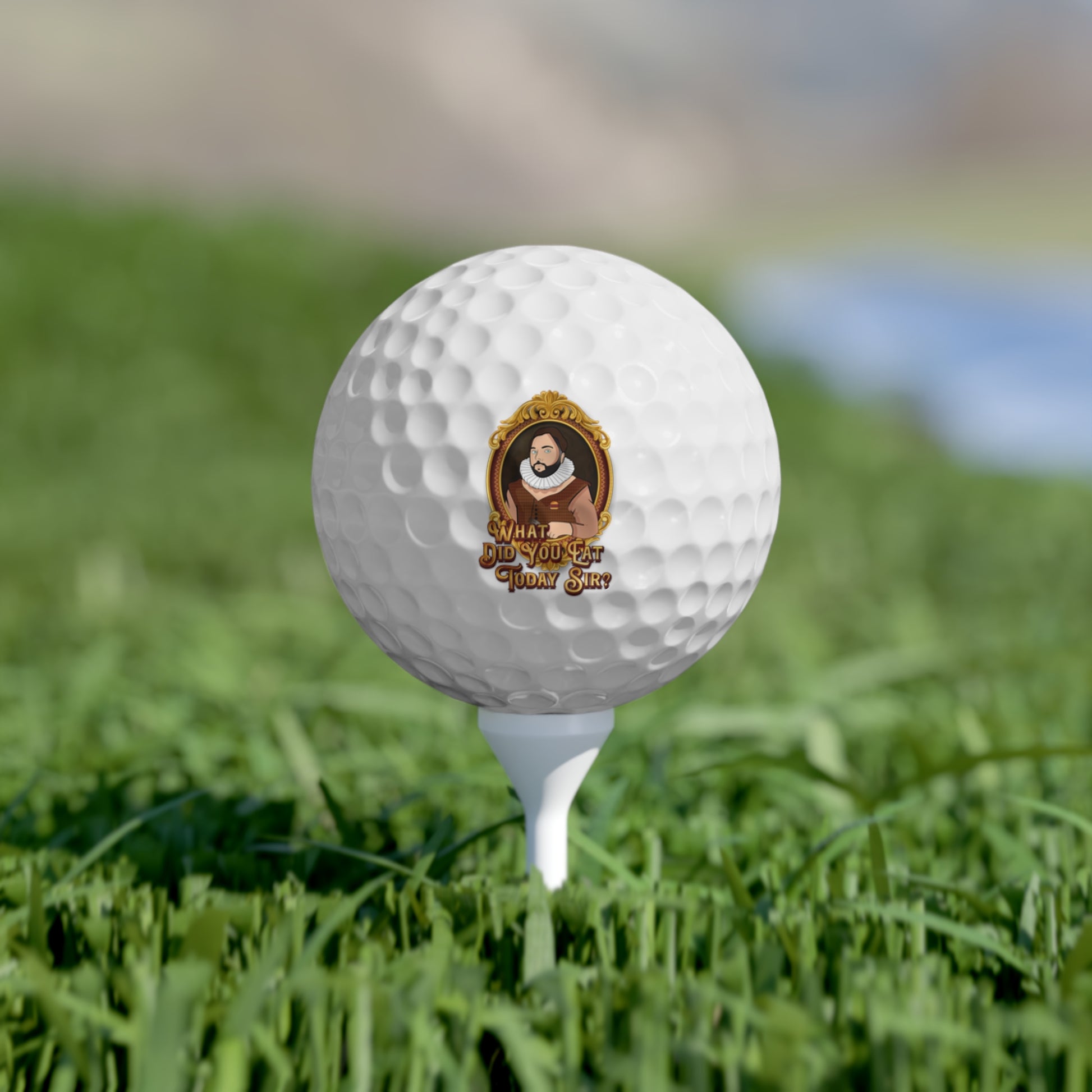 WDYETS Golf Balls, 6pcs
